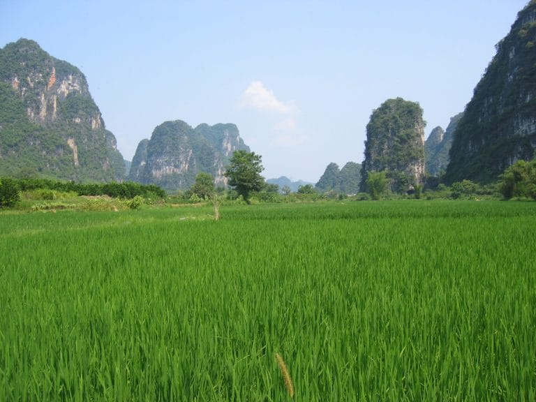 Dramatisch karstlandschap van Yangshuo met steil oprijzende kalksteenrotsen en groene vegetatie in de vallei
