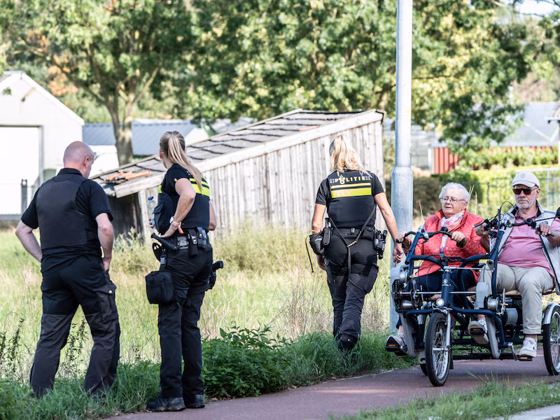 Hoe Overasselt de draad weer oppakt, met roze koeken en kinderen die houten koeien melken